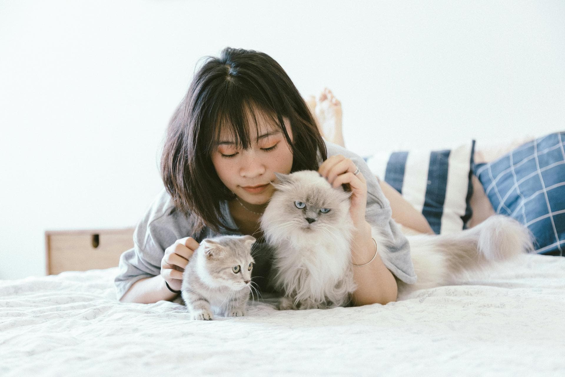 Dog & Cat Vets in Bentonville